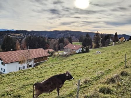 Raunberg 1_450 breit